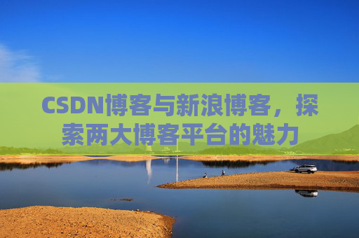 CSDN博客与新浪博客，探索两大博客平台的魅力